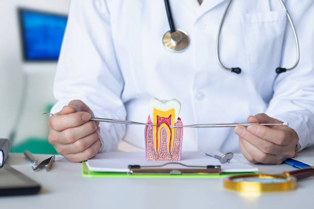 Best Emergency Dental Care for Trauma or Injury in Tappan, NY